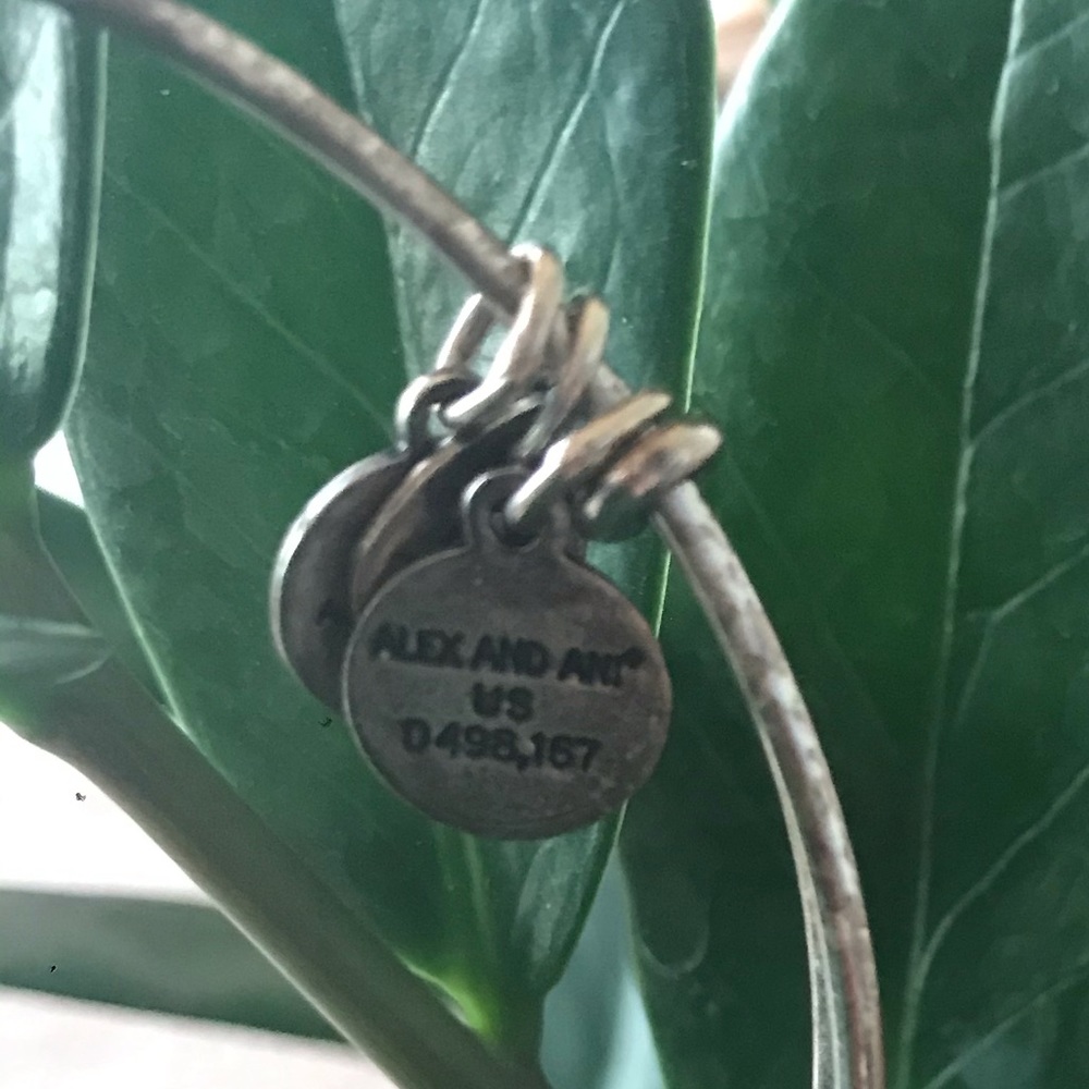 Alex & Ani 2015 “D” Bracelet Silver - Picture 3 of 3